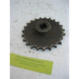 pignon sortie moteur CHAISE DOLLAR 350