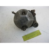 dynamo NOVI